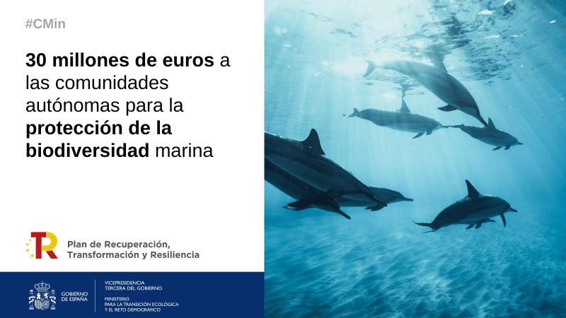El Gobierno destina más de 4 millones de euros a Cataluña para la protección de la biodiversidad marina